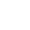 Icon Open
