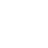 Icon Showroom
