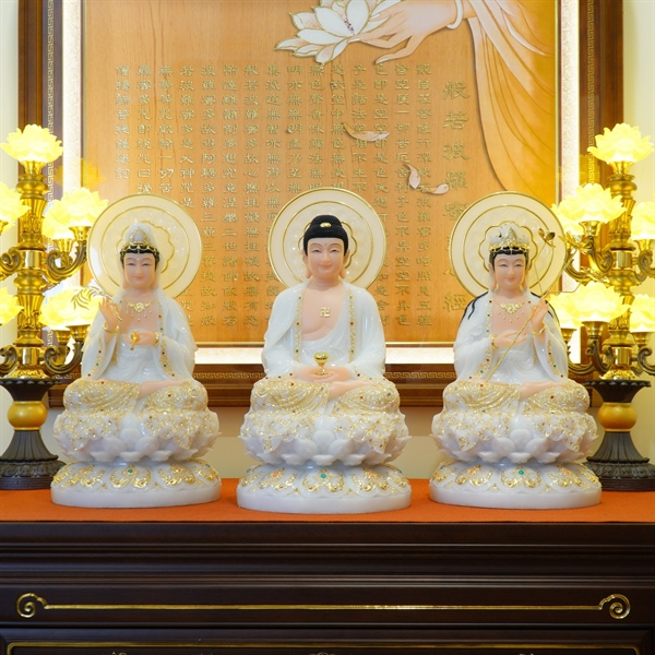 Image2