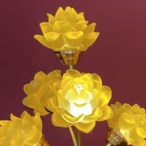Img 9296 Hình ảnh 3