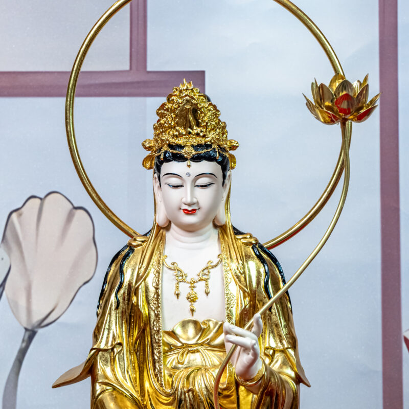 Tuongphat15 10
